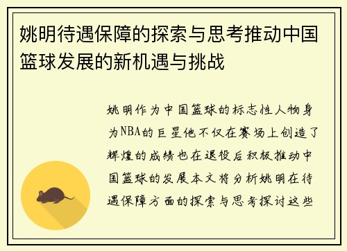 姚明待遇保障的探索与思考推动中国篮球发展的新机遇与挑战