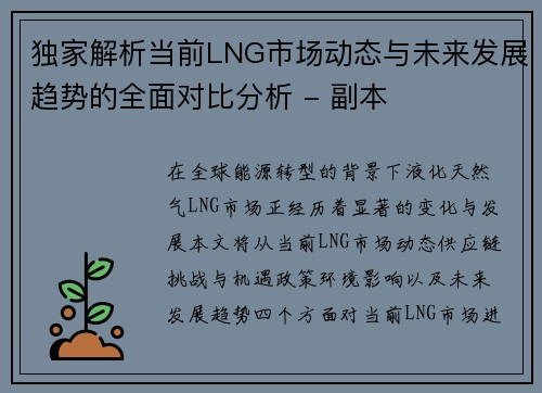 独家解析当前LNG市场动态与未来发展趋势的全面对比分析 - 副本