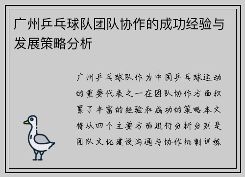 广州乒乓球队团队协作的成功经验与发展策略分析